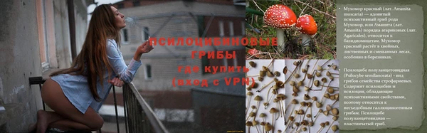 трава Абаза