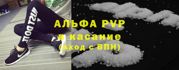 прущие грибы Абинск