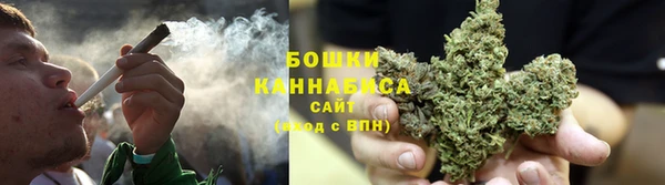 трава Абаза