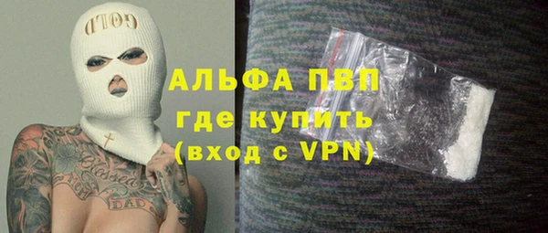прущие грибы Абинск