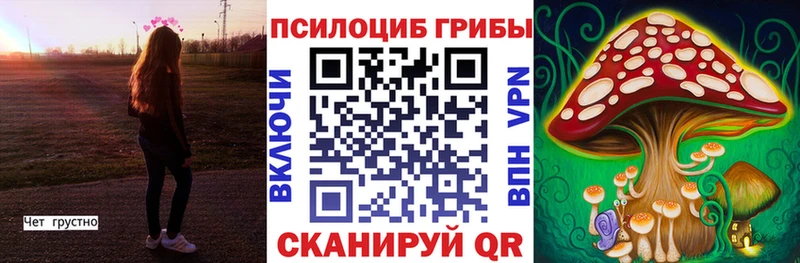 Галлюциногенные грибы Psilocybe Сурск